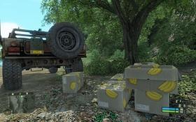 Crysis